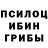 Псилоцибиновые грибы MAGIC MUSHROOMS 14:the BOSS