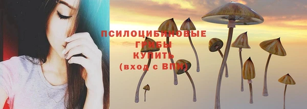 ГАЛЛЮЦИНОГЕННЫЕ ГРИБЫ Алексин
