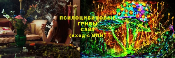 ГАЛЛЮЦИНОГЕННЫЕ ГРИБЫ Алексин