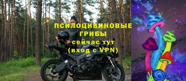 твердый Алзамай